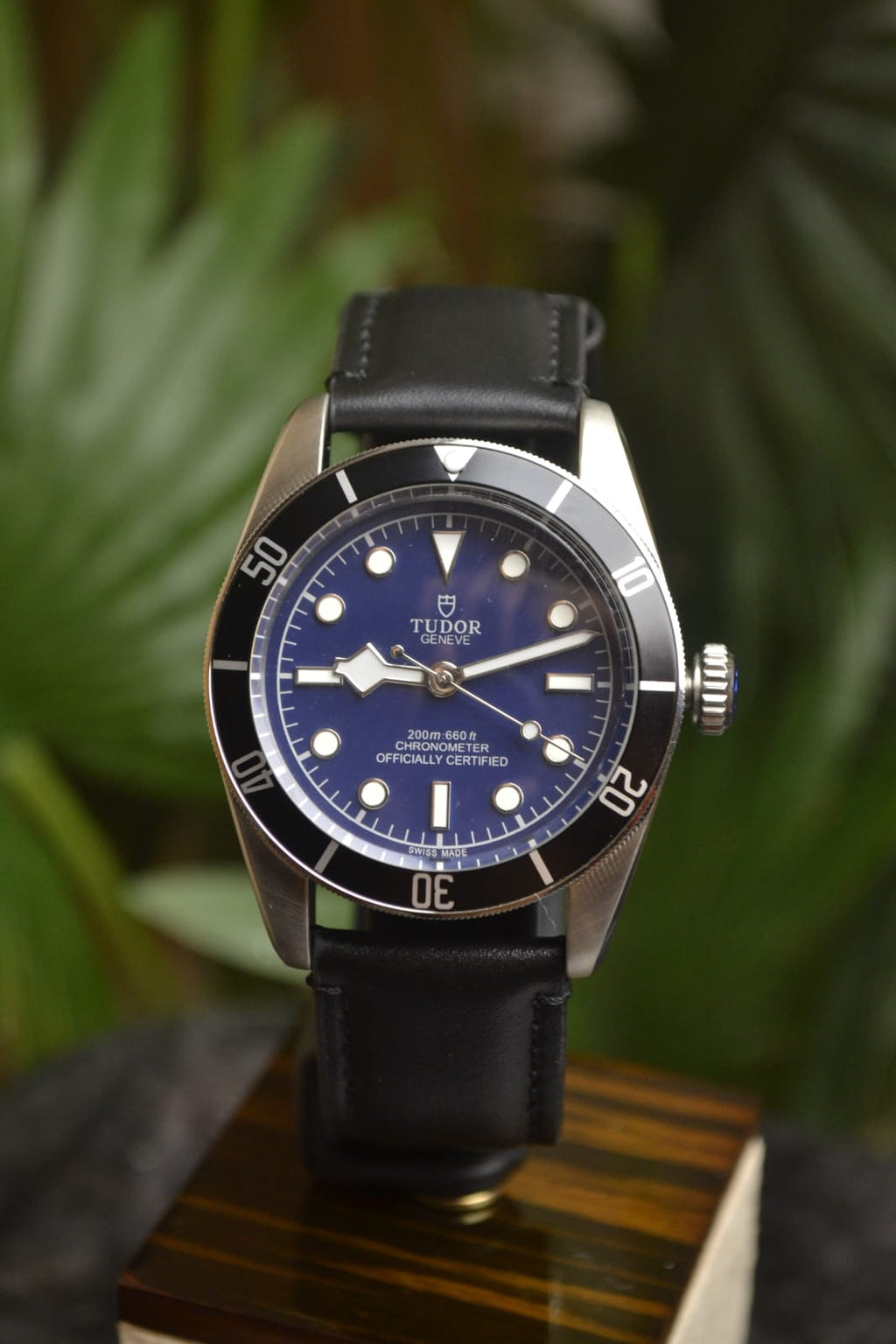 Tudor Blackbay 58 Edition leather strap