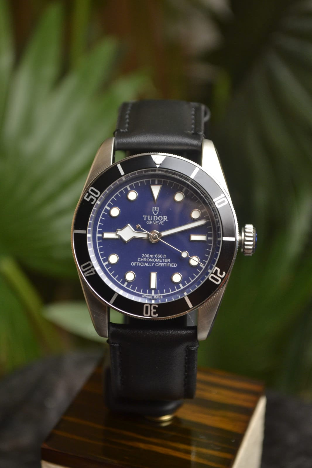 Tudor Blackbay 58 Edition leather strap