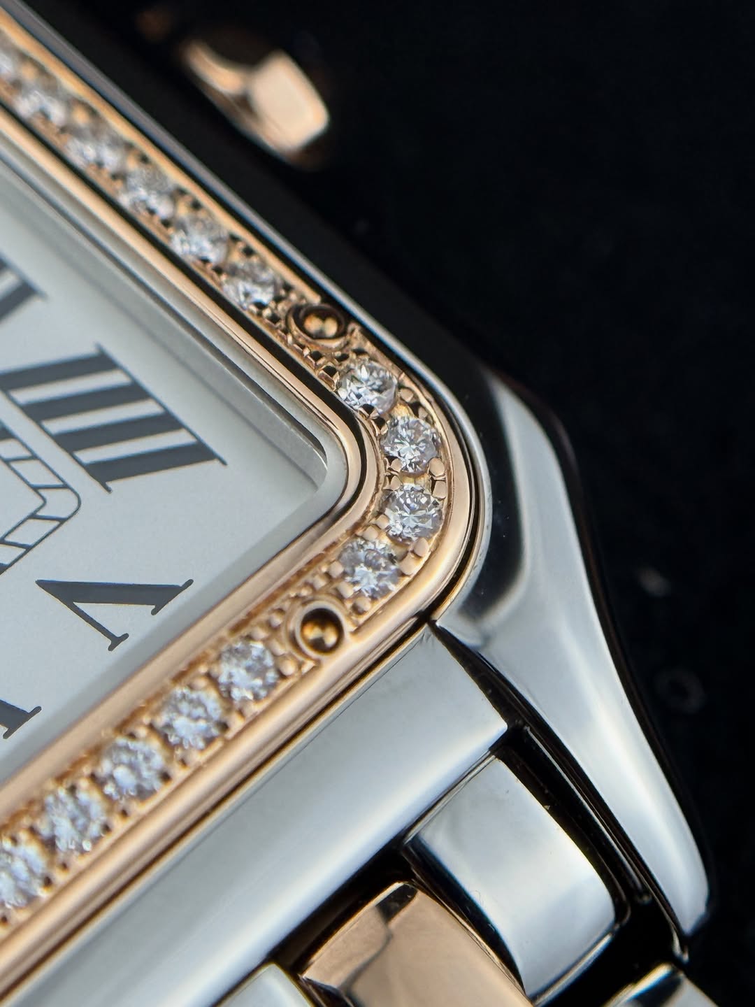Panthere De Cartier Two Tones