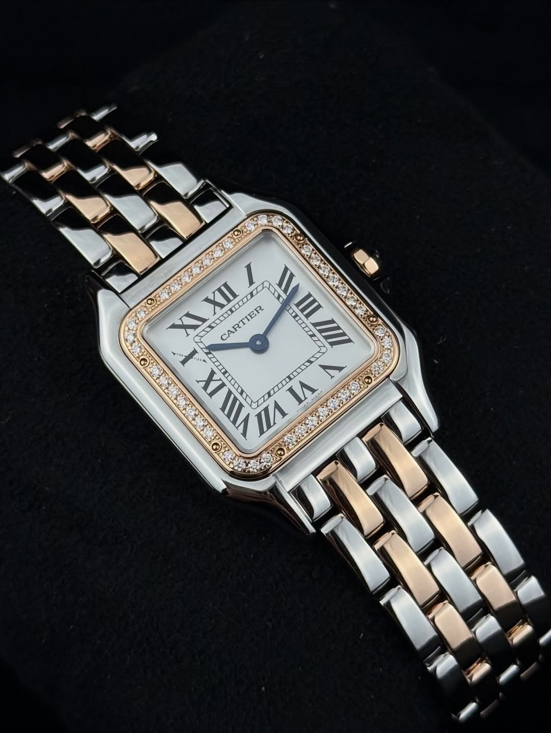 Panthere De Cartier Two Tones
