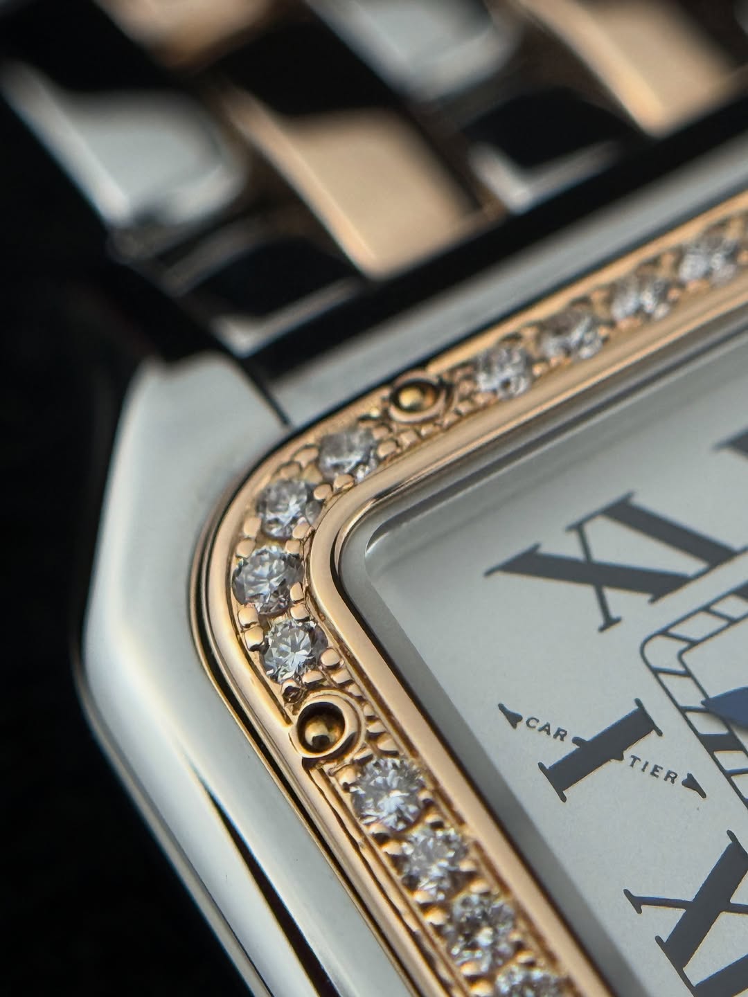 Panthere De Cartier Two Tones