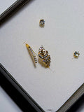 Botanical Radiance Set