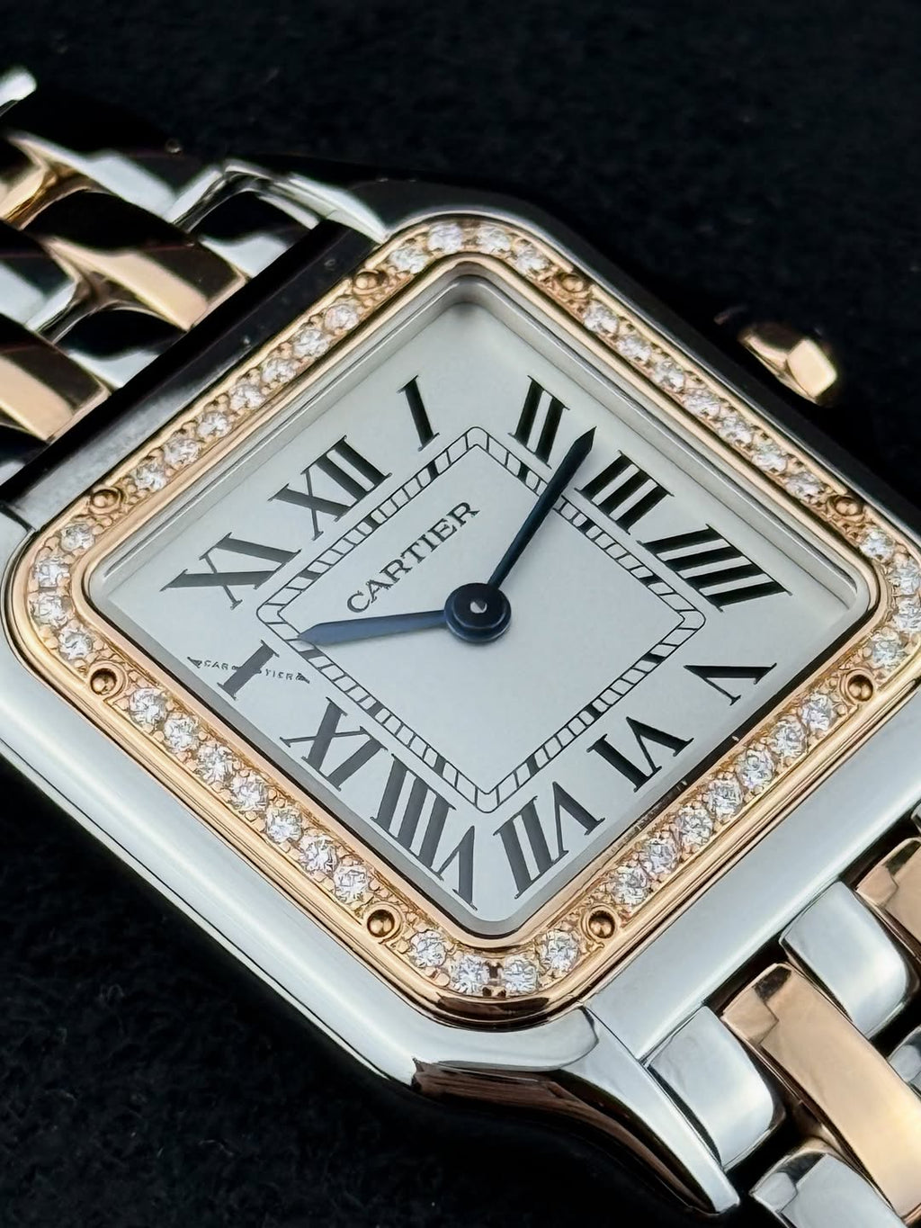 Panthere De Cartier Two Tones