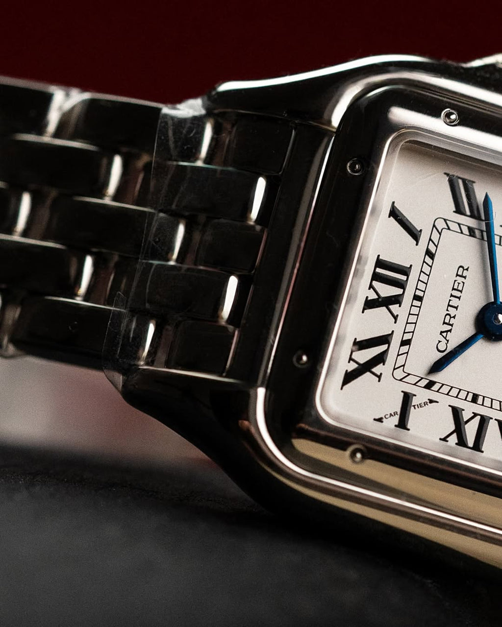 Panthere De Cartier Silver