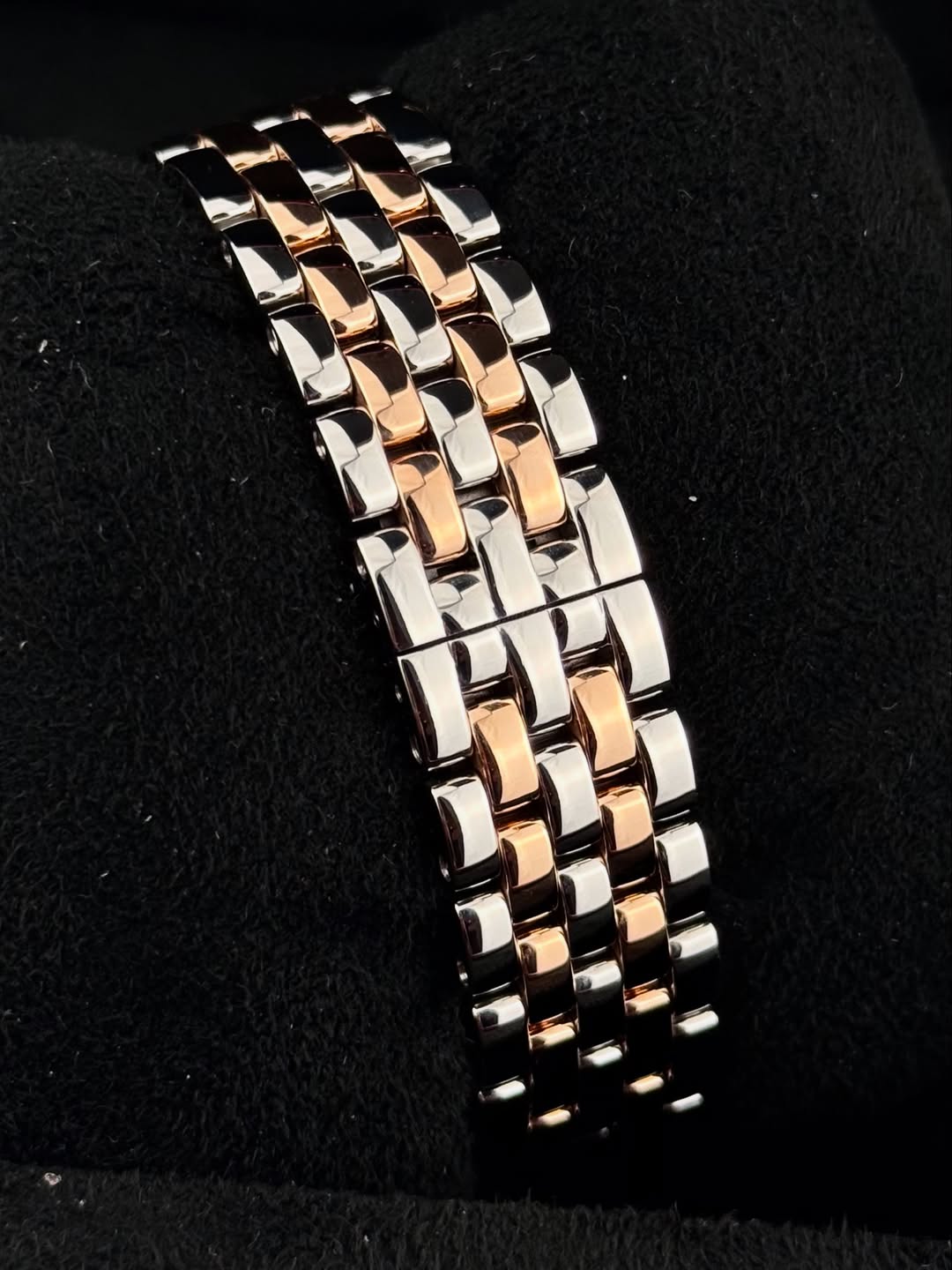 Panthere De Cartier Two Tones